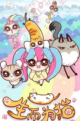 兰州网站优化人才招聘